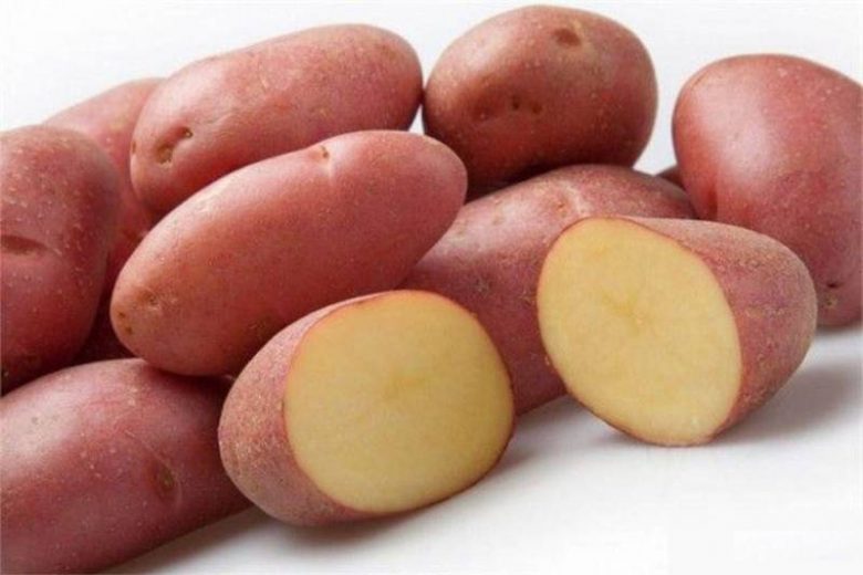 
Своя картошка уже в июне: советы опытных огородников для получения раннего урожая                