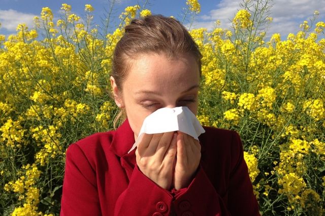 
Доктор Евгений Комаровский назвал главные симптомы весенней аллергии                