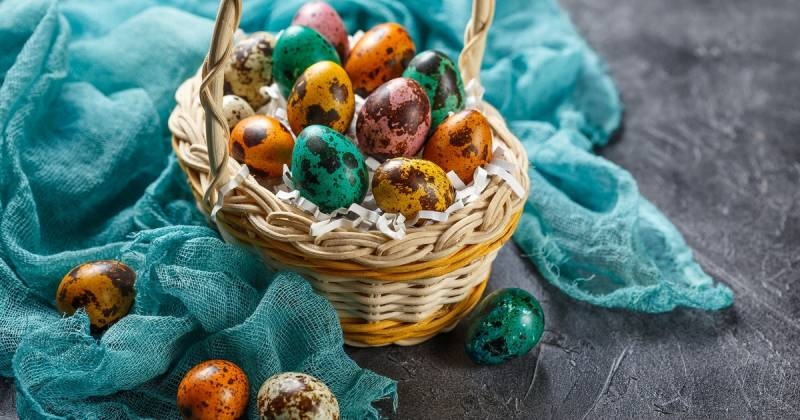 
Красим яйца правильно: как преобразить перепелиные яйца на Пасху натуральными красителями                