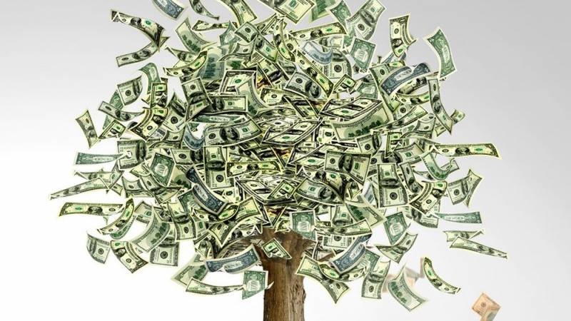 
Сажаем денежное дерево правильно: как привлечь в свой дом деньги на Вербное воскресенье                