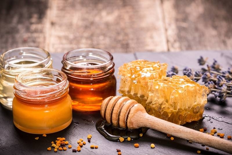 
Зачем рассаду «угощают» медом и кофе, полезные советы по уходу за растениями                