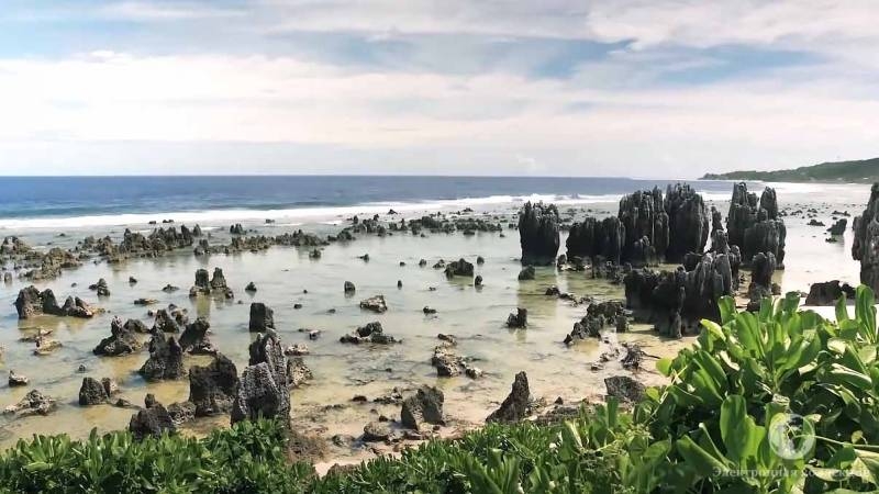 
Из райского уголка в безжизненную пустошь: как богатство погубило жителей острова Науру                