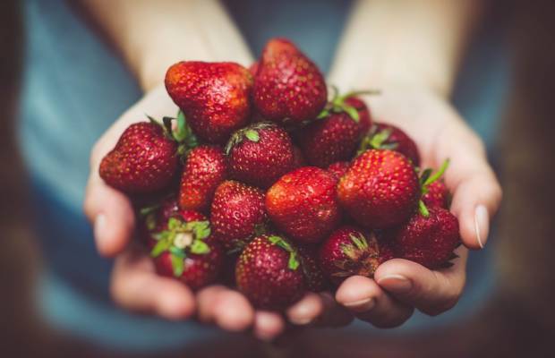 
Правильный выбор клубники: как купить качественную и вкусную ягоду                