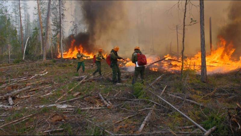 
Сибири вновь угрожает масштабный пожар, последствия могут быть ужаснее, чем в 2020 году                