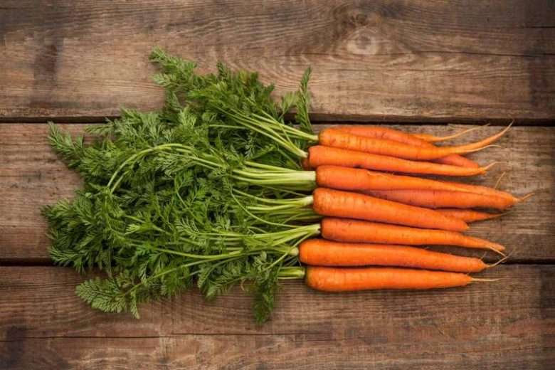 
Как бороться с вредителями моркови, не используя химикаты                
