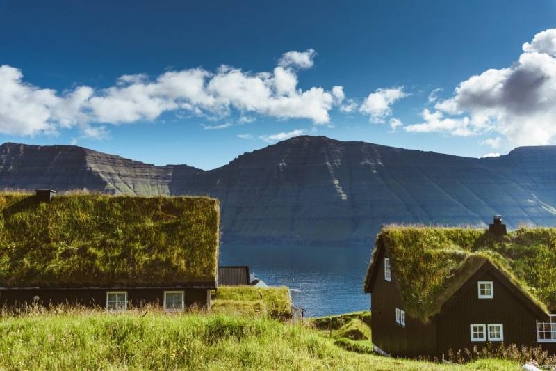 
Зачем скандинавам трава на доме: история «зеленых» крыш                
