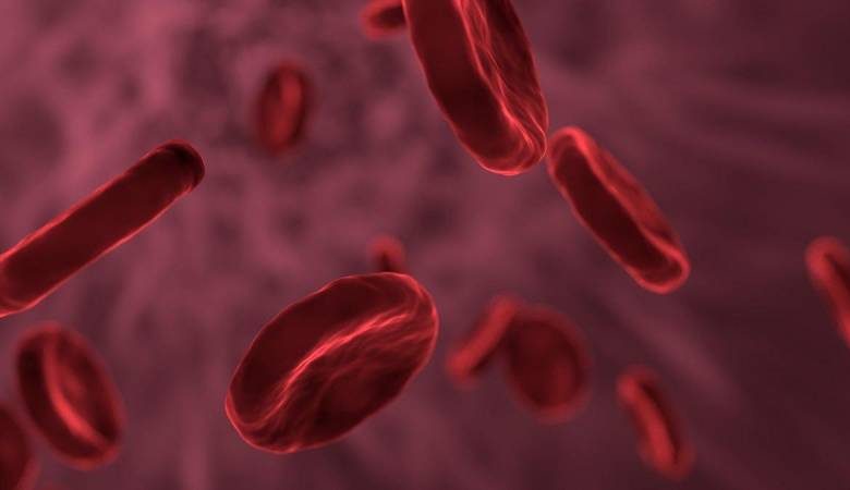 
Семь фактов про четвертую группу крови, о которых вы не знали раньше                