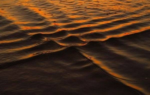 
«Море в клеточку»: какую опасность скрывают безобидные с виду квадратные волны                