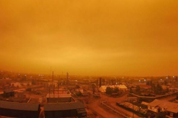
Опубликованы первые фото последствий лесных пожаров в Красноярском крае                