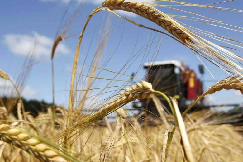 
В России стартовала сельскохозяйственная микроперепись, как будет проходить «ревизия» земельных угодий                