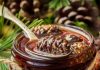 Варенье из сосновых шишек: отличный иммуностимулятор естественного происхождения