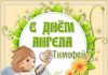Именины Тимофея – прикольные поздравления с Днем ангела Тимофея
