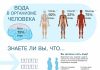 Сколько воды необходимо организму?