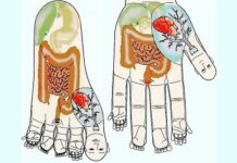 Су –Джок: универсальный метод лечения легких заболеваний без приема лекарств