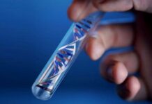 Виды ДНК тестирования на отцовство