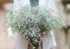 Гипсофила: новый тренд в букетах