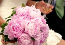 Почему пионы так популярны?